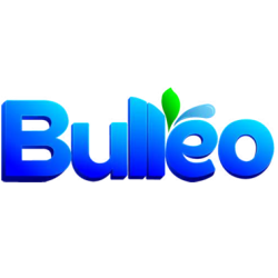 BULLEO PRODUITS ENTRETIENS