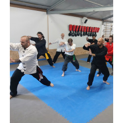 KUNG FU SHAOLIN