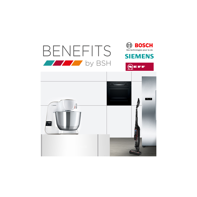 BSH ELECTROMENAGER