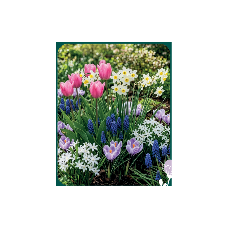 FLEURS ET JARDIN