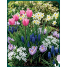 FLEURS ET JARDIN
