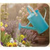 FLEURS ET JARDIN