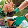 FLEURS ET JARDIN