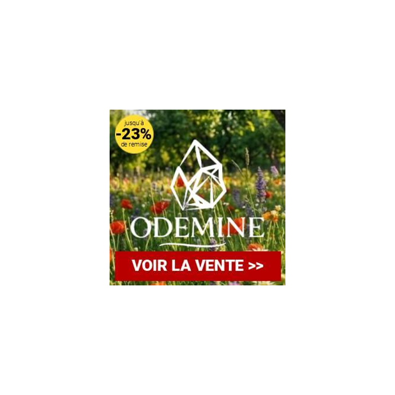 ODEMINE