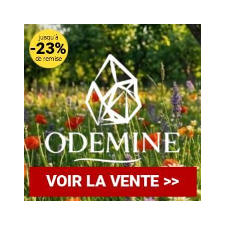 ODEMINE