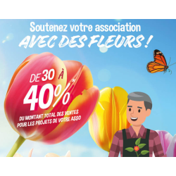 BULBES D AUTOMNE