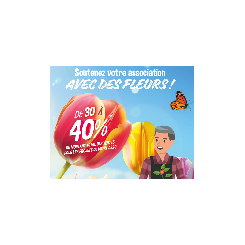 BULBES D AUTOMNE