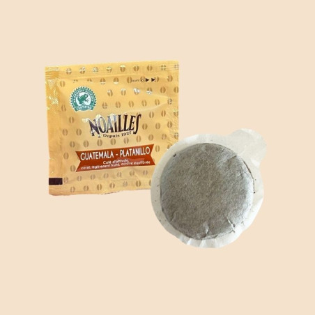 GUATEMALA DOSETTES