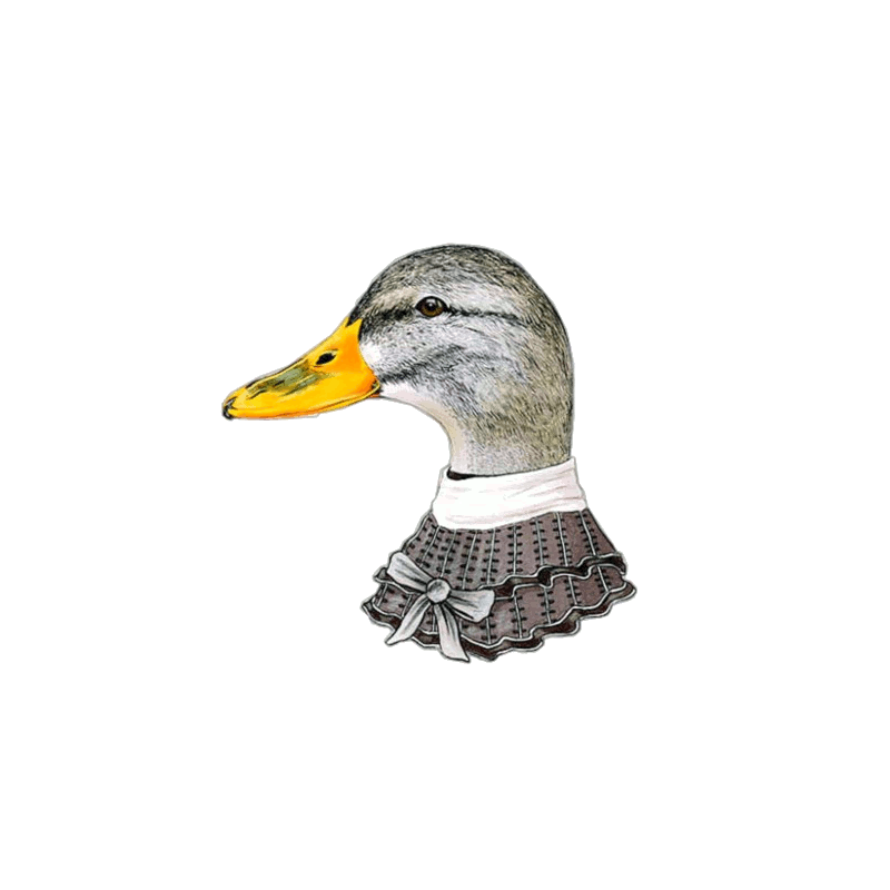 CANARDS SAINTE BAUME