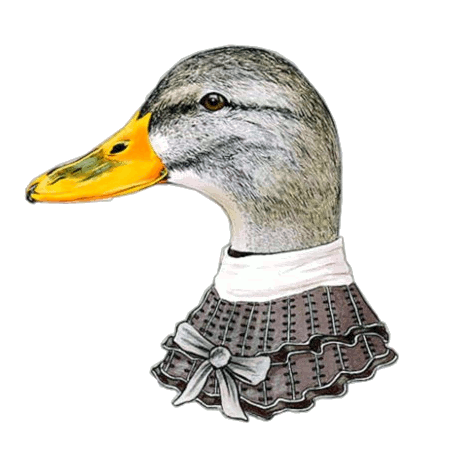 CANARDS SAINTE BAUME