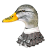 CANARDS SAINTE BAUME