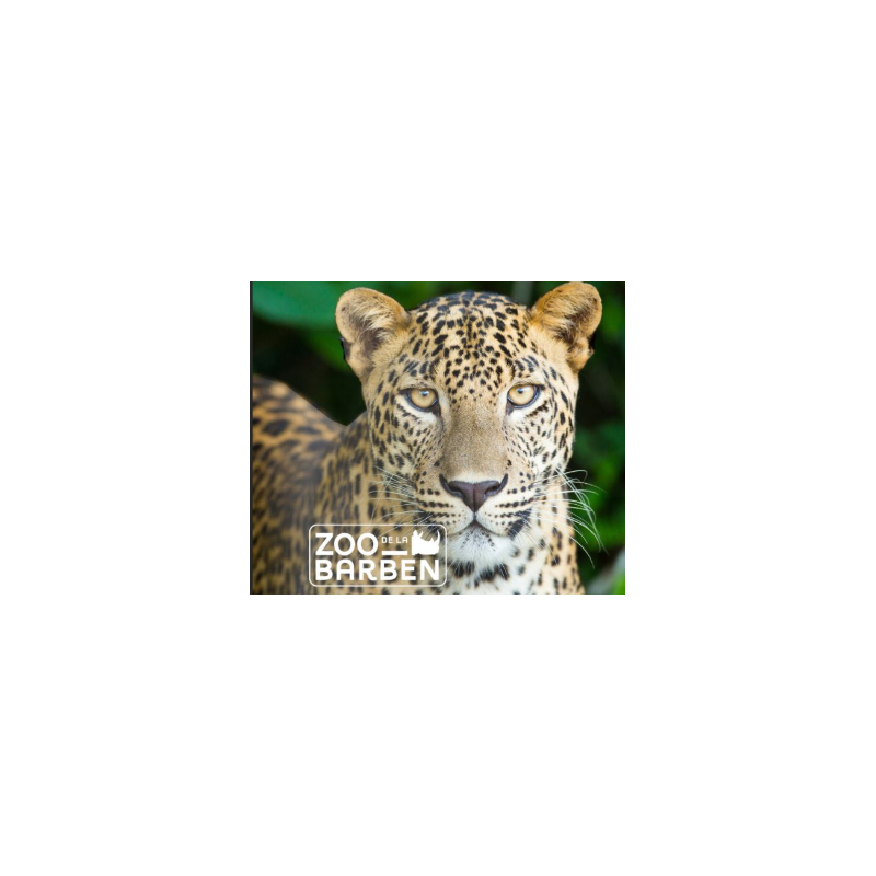 ZOO BARBEN